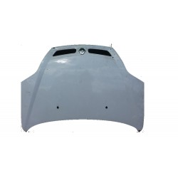 RENAULT SCENIC I LIFT MASKA